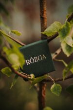 Silberne Ohrstecker mit Ginkgo-Blättern (Kopia) (Kopia) (Kopia) (Kopia) (Kopia) (Kopia) (Kopia) (Kopia) – Bild 9