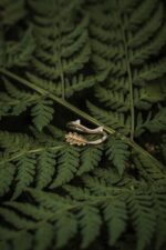 Vergoldeter ring EICHE – Bild 7