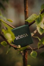 Vergoldetes Set BIRKENBLÄTTER – Ohrstecker und Halskette – Bild 6